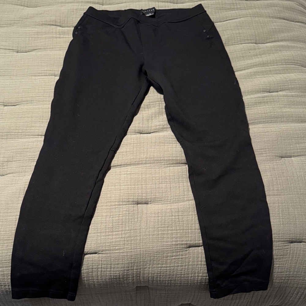 Sanctuary Sleek Black Garment